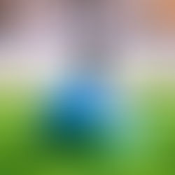 Your Career - Is there an Excuse for Excuses?