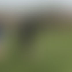 Creating Fun & Engaging Sessions for Players