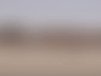 Ahmed and Somaliland Academy Still Growing!