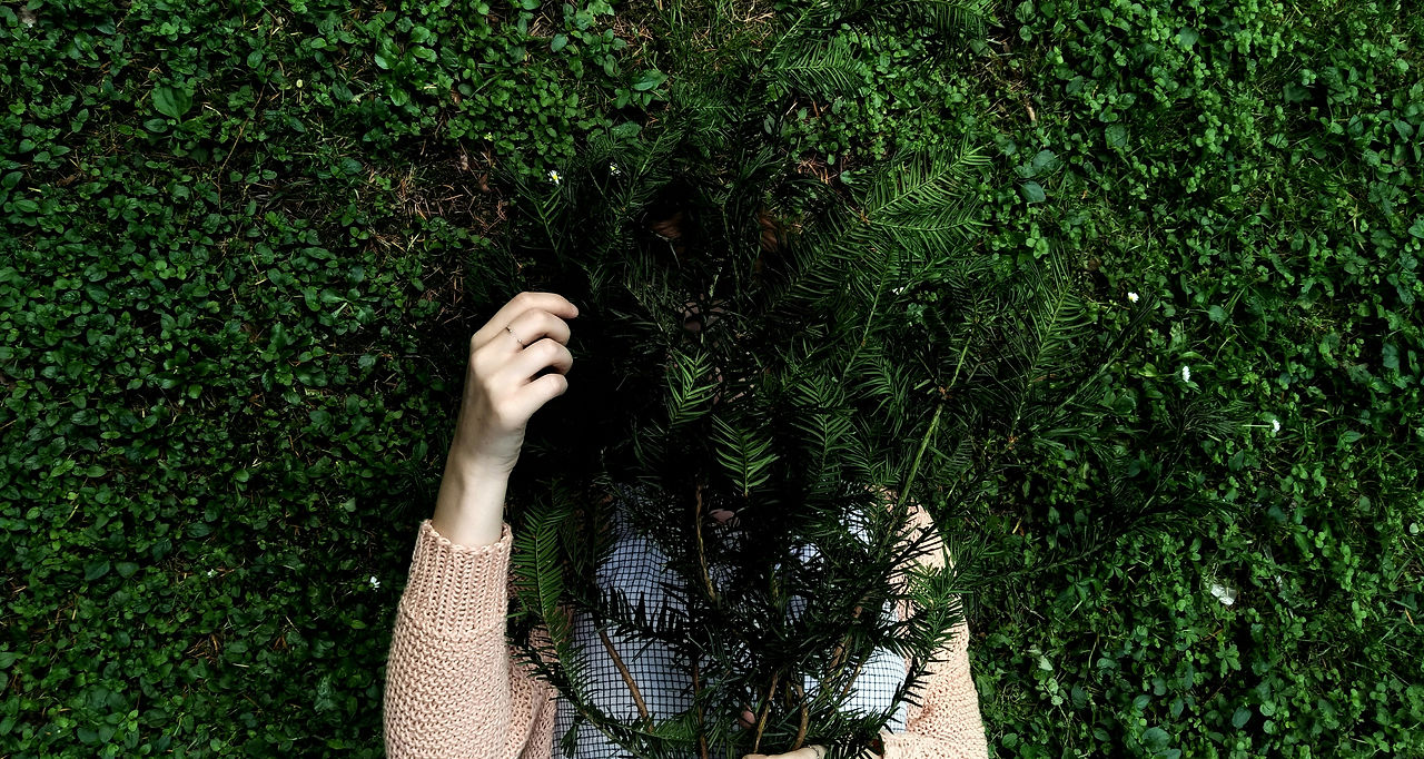 giulia-bertelli-ytVwie-9xMo-unsplash.jpg