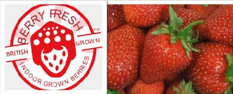 Screen%20Shot%202020-06-10%20at%2015