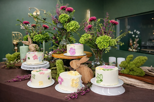 Edited Version of the photo.png