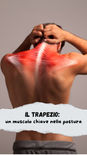🧑⚕️ IL TRAPEZIO: UN MUSCOLO CHIAVE NELLA POSTURA 🧑⚕️