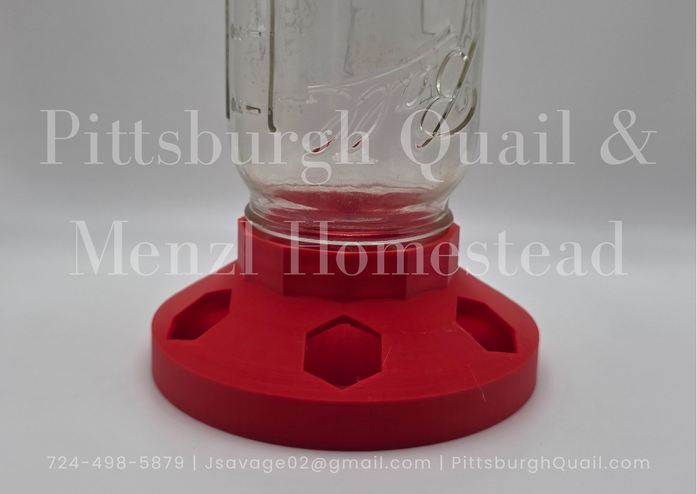 Thumbnail: 3D Printed Standard Size Quail Feeder Base