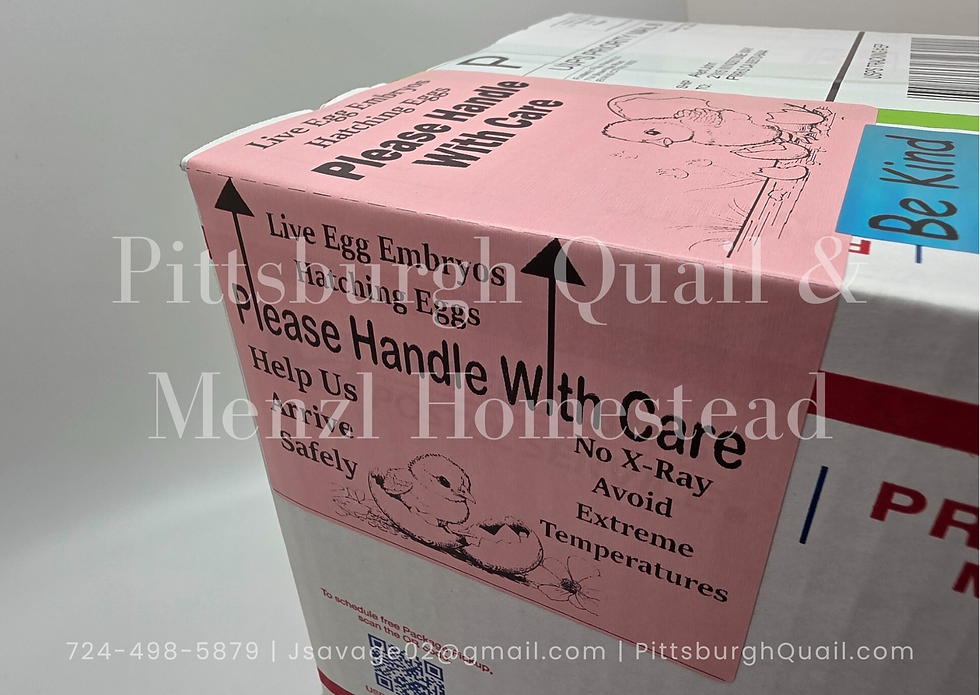 Thumbnail: 250ct 4x6 inch Handle With Care Shipping Labels