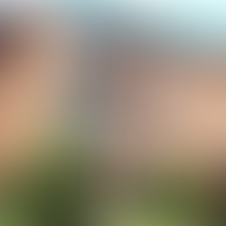 Mountainview Terrace Apartments - Latham, NY