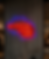 led-neon-schild-wandlogo-innenwerbung-visuellewand.png
