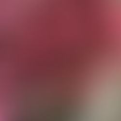 [zebraliśmy 2116 zł! wpłata dokonana!] kup wrzosy i dorzuć swoją cegiełkę do zbiórki dla poszkodowanych powodzią na dolnym śląsku