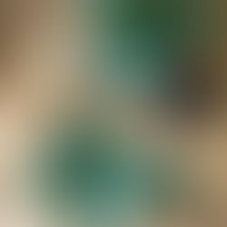 Poradnik roślinnika: jak przygotować rośliny do sezonu jesienno-zimowego?