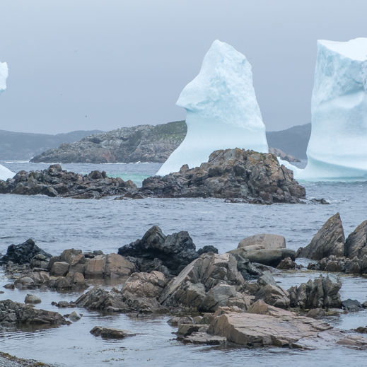 Maritimes, part 3 - Northern Newfoundland