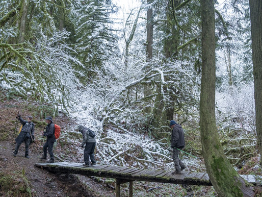 Community Forest via Thaletel Trail