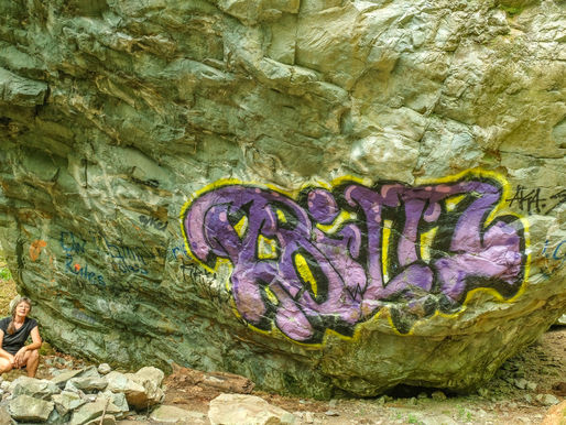 Vedder Mt - Duck Farm Loop trail and Beyond