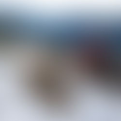 Elk-Thurston-Gloria Crossover