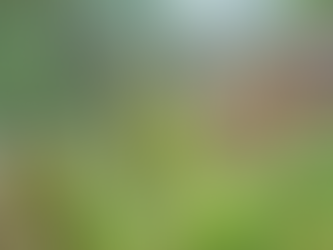 Hope Nicola Valley trail + Ladner Creek Trestle Bridge