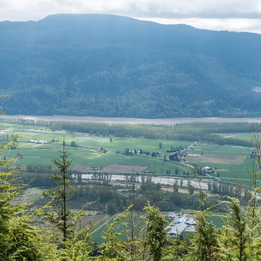 Dewdney Grind - North Trail