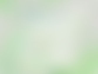 4 Bedroom Townhouse for $650k