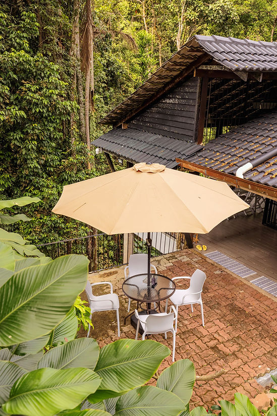 Umbrella Resize.jpg