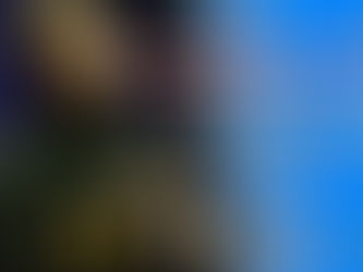 ลิซอฟสกี้เบียดเรเวซไปจีน