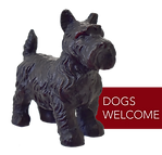 DogFriendly.png