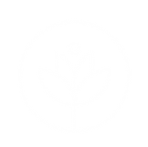 Kajals Wellness Tree logo