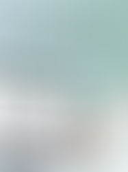 Faça validações documentais em RGS utilizando um sistema web