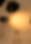 13.png