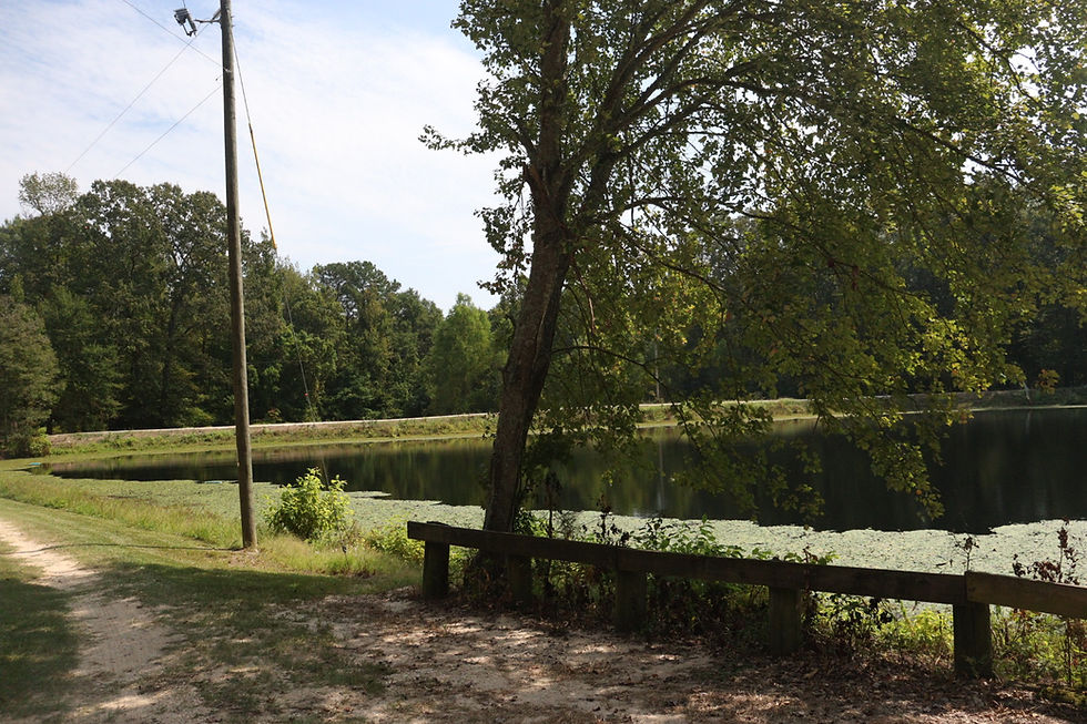 J.B.'s RV Park & Campground Open All Year Benton