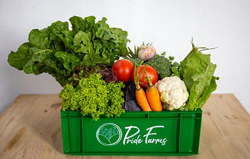 PrideDec19-6 (1).jpg