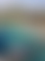 Bali and Food Experience