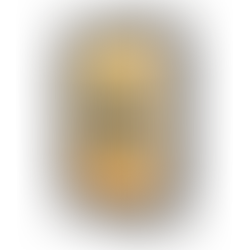 Smart Kids, Struggling Minds: Preparing Children for Life, Not Just Exams - PREETI VOHRA