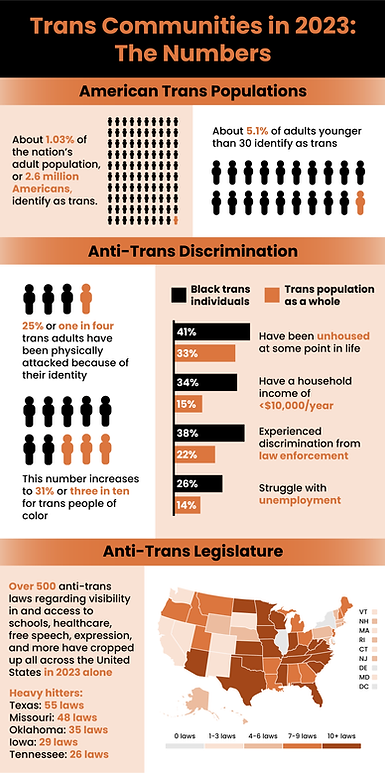 TransLash Infographic 3 copy.png