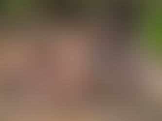 Polícia Rodoviária encontra 50 caixas com garrafas de vodka jogadas ao lado da MG-050 em Passos