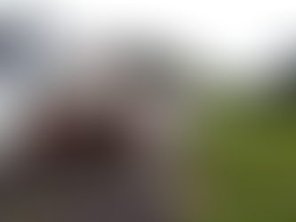 Dois bairros vão receber o Mutirão da Dengue na próxima semana