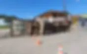 Caminhão carregado com aproximadamente 40 bezerros tombou na BR-460, em Carmo de Minas