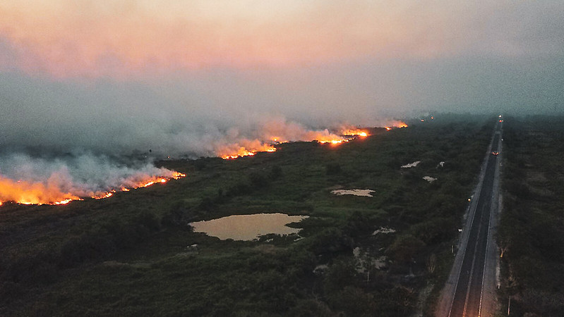 Pantanal registra aumento de mais de 900% em focos de queimadas em 2024