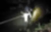 Vaca foi resgatada pelos bombeiros após cair dentro do Rio Guaxupé, no Sítio Japi, em Guaxupé