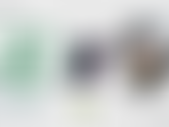 América recebe Vasco em confronto direto contra o rebaixamento no Brasileiro