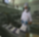 Preços dos ovos têm menor cotação em 2 anos no mercado doméstico e gripe aviária impulsiona exportações