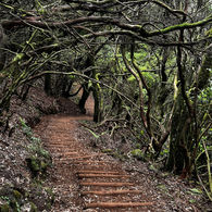 Přechod Madeiry - Den 6.
