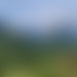 Juliana Trail - Den 11