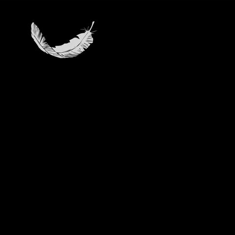 423167eada91721c3fd6376821f69918.gif