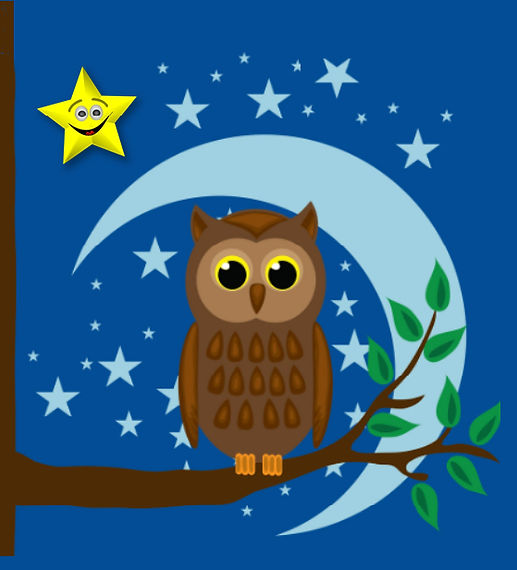 Owl and the Star (The) .jpg