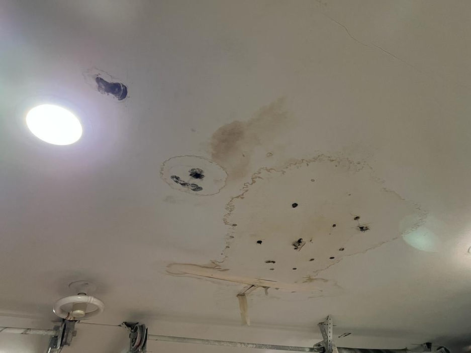 Interior Roof Leak.jpg