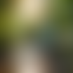 Innovative Water Treatment Solutions in Uvita, Costa Rica