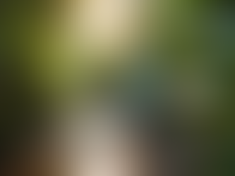 Innovative Water Treatment Solutions in Uvita, Costa Rica