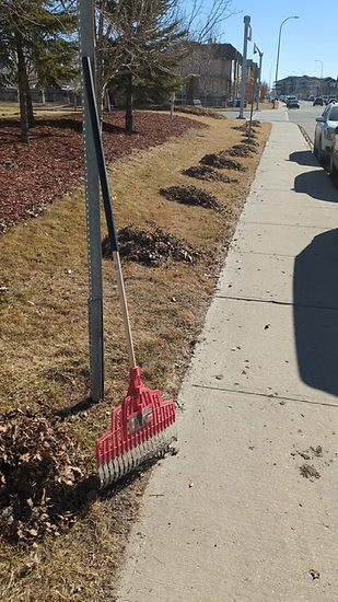 image4 - Abbi Perreault.jpeg