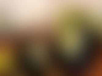 Ата-әсәләр менән оҫталыҡ дәресе