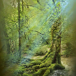 DRYAD
