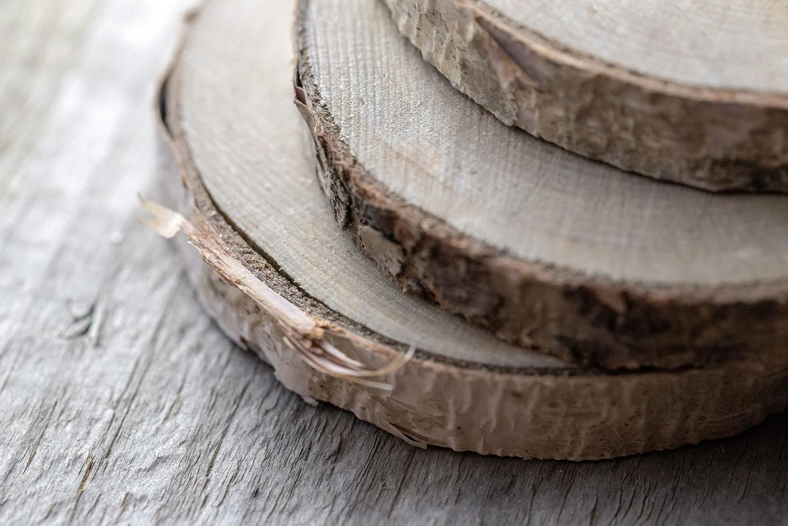 StockSnap_NILZUCCKQ5_wood.webp