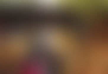 Existe vida após o Youth? Uma história de como um intercâmbio mudou minha vida.